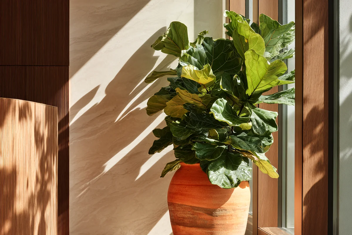2. Biophilic Integration: Nurturing Nature Indoors